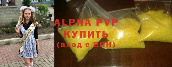 шишки Богородицк