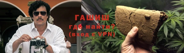 шишки Богородицк