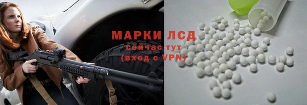 шишки Богородицк