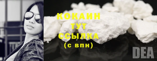 шишки Богородицк