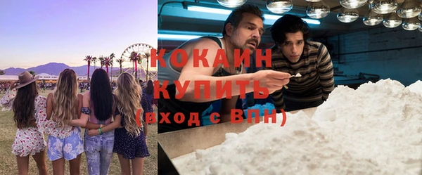 шишки Богородицк