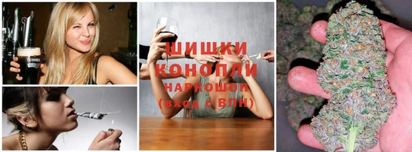 гидропоника Богородск