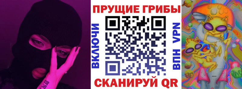 даркнет формула Новоульяновск Галлюциногенные грибы GOLDEN TEACHER цены