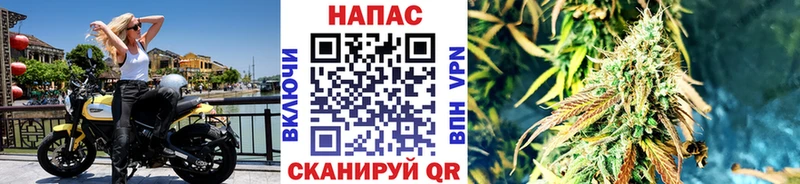 наркошоп  OMG рабочий сайт  Бошки марихуана THC 21%  Новоульяновск 